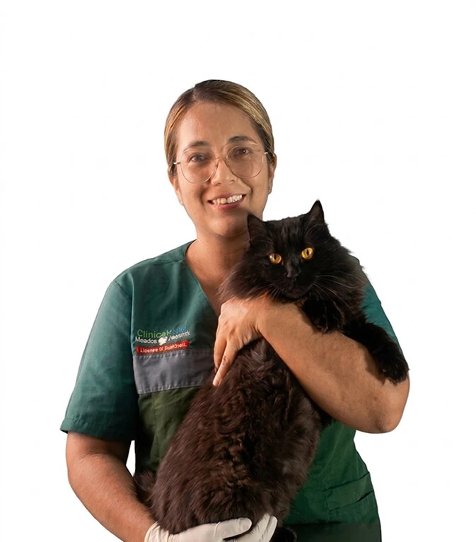 veterinaria