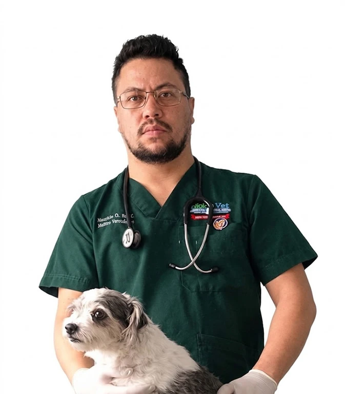 veterinario